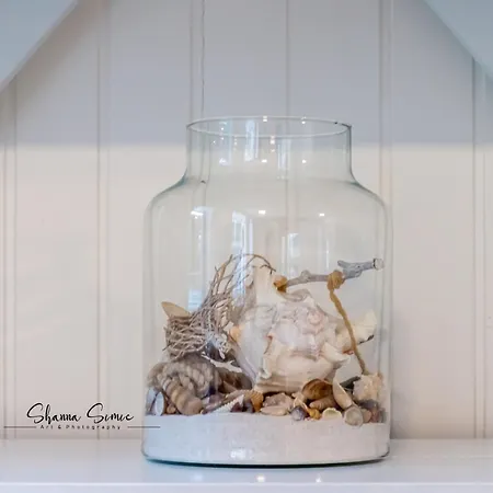 Carpe Diem Egmond Aan Zee By Urban Home Stay-2
